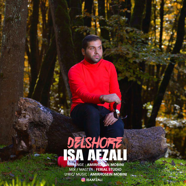 دانلود آهنگ دلشوره